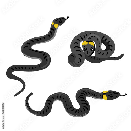 vector drawing ringed snakes isolated at white background, hand drawn illustration