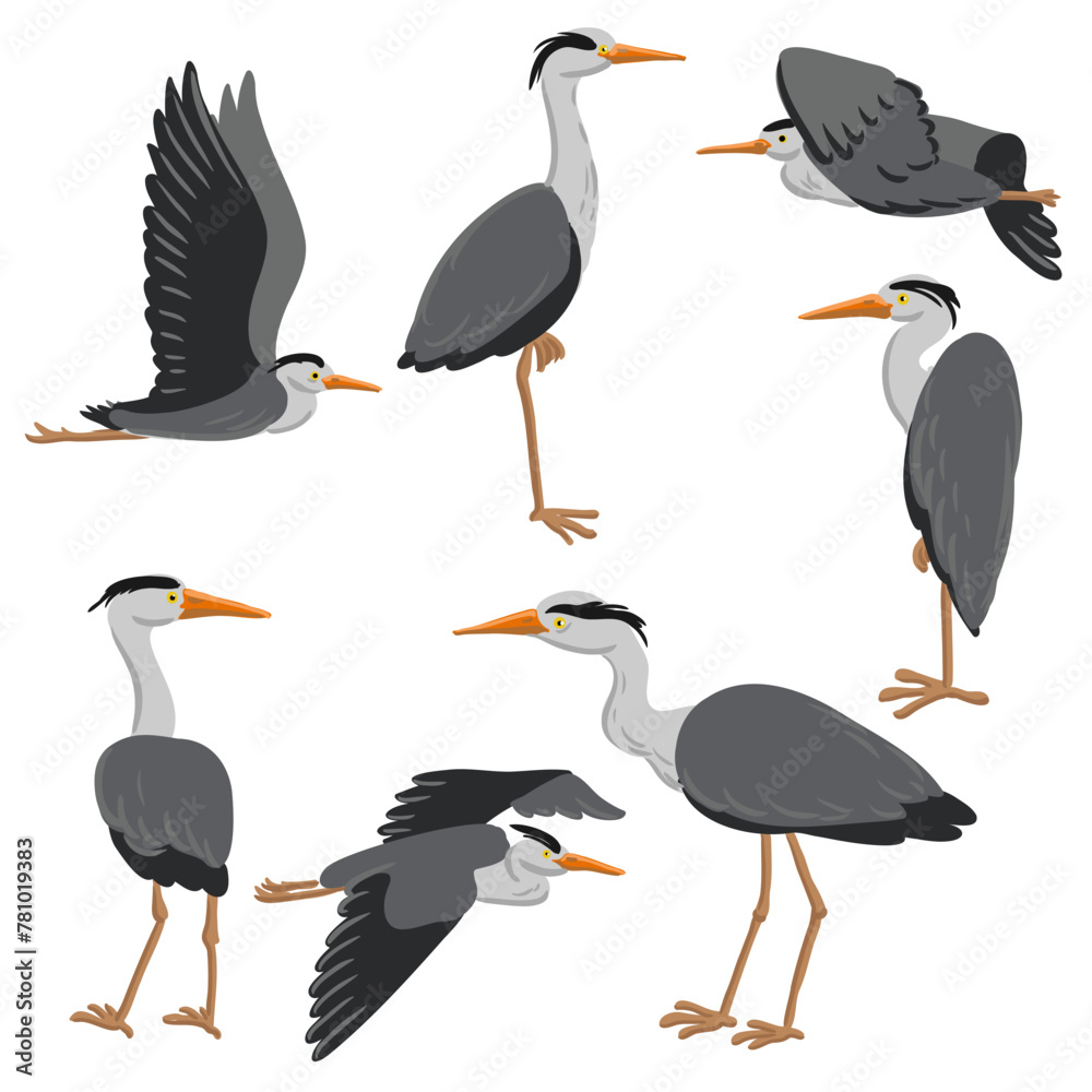 Naklejka premium vector drawing grey herons, wild birds isolated at white background, hand drawn illustration