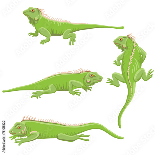 vector drawing green iguana isolated at white background  hand drawn illustration