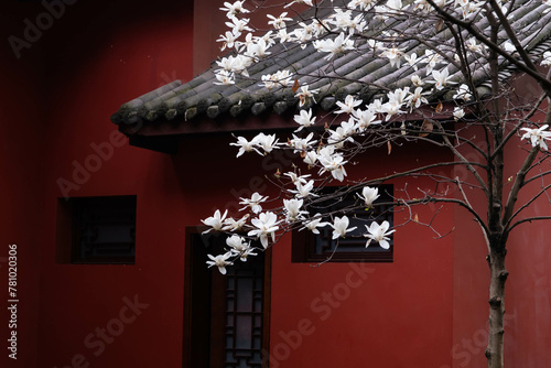 Beautiful flowers with Chinese style roof top in the background