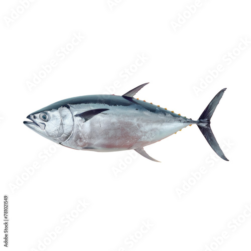 A fish with a Transparent Background