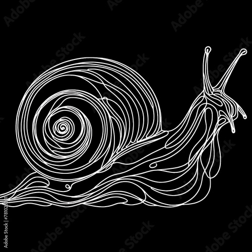 A snail with a shell that has a spiral pattern in black and white.