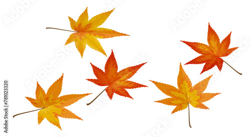 Maple leaves against white background (ID: 781023320)