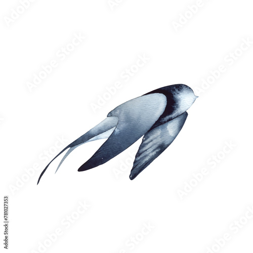 Swallow, martlet. Clear white sky, bird in natural habitat. Barn swallow flying, wings spread. Hirundo rustica on white background. Wildlife. Tattoo design, watercolor art, wild animals, free