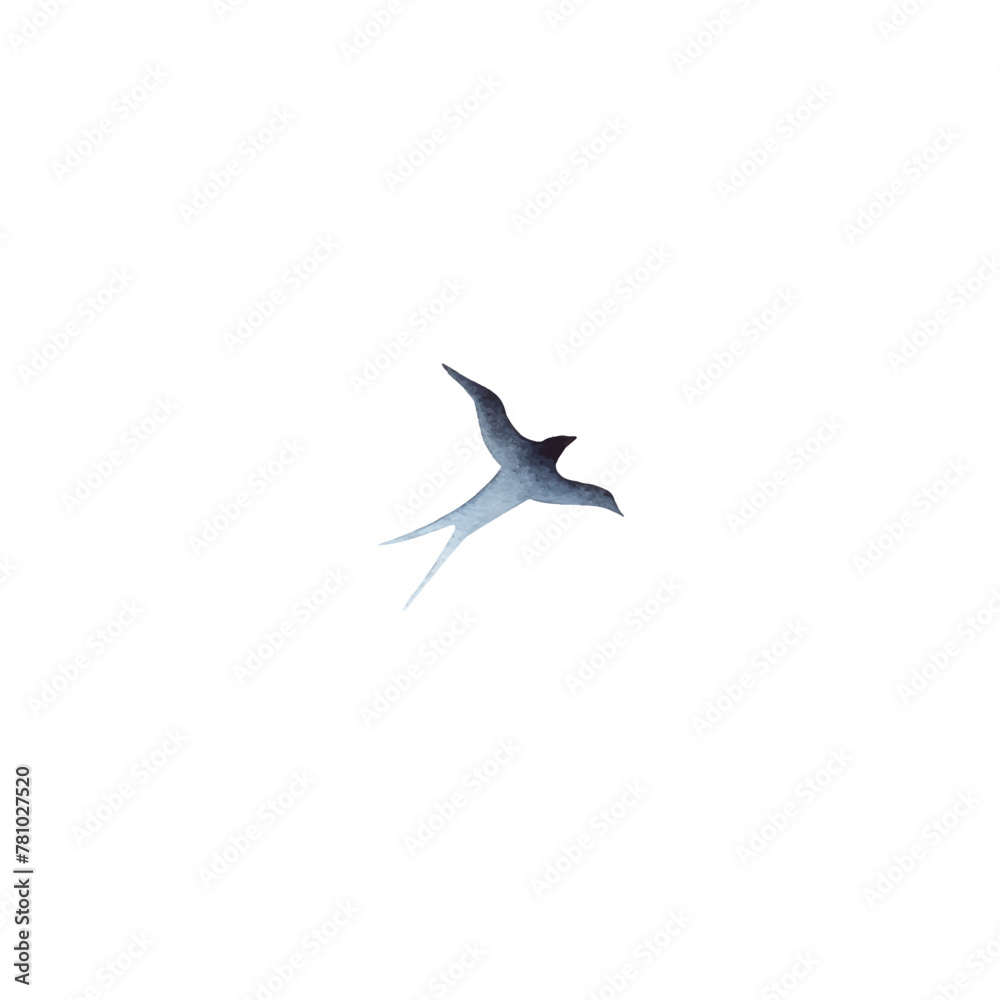 Obraz premium Swallow, martlet. Clear white sky, bird in natural habitat. Barn swallow flying, wings spread. Hirundo rustica on white background. Wildlife. Tattoo design, watercolor art, wild animals, free