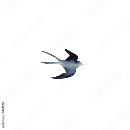 Swallow, martlet. Clear white sky, bird in natural habitat. Barn swallow flying, wings spread. Hirundo rustica on white background. Wildlife. Tattoo design, watercolor art, wild animals, free