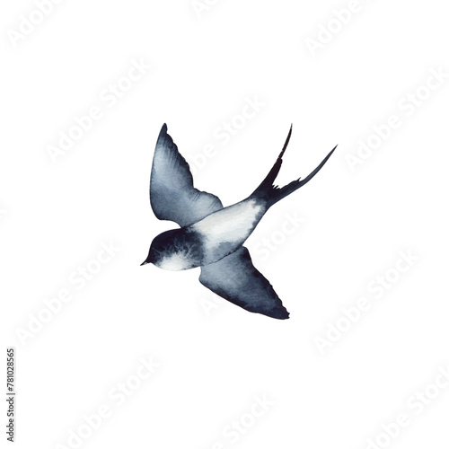 Swallow, martlet. Clear white sky, bird in natural habitat. Barn swallow flying, wings spread. Hirundo rustica on white background. Wildlife. Tattoo design, watercolor art, wild animals, free