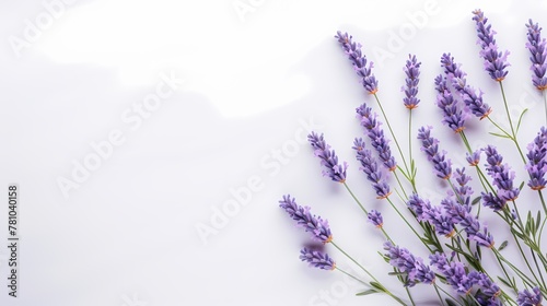 Captivating view from above of delicate lavender flowers against a minimalistic background, ideal for text insertion.