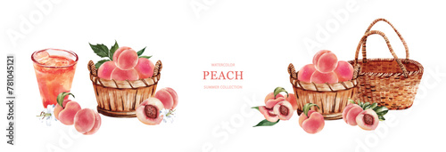 Peaches watercolor art vector on white background