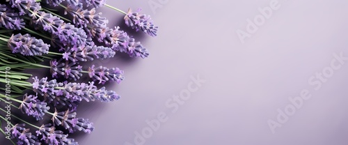 An overhead shot of a bunch of lavender flowers against a solid backdrop, providing a blank canvas for your words.