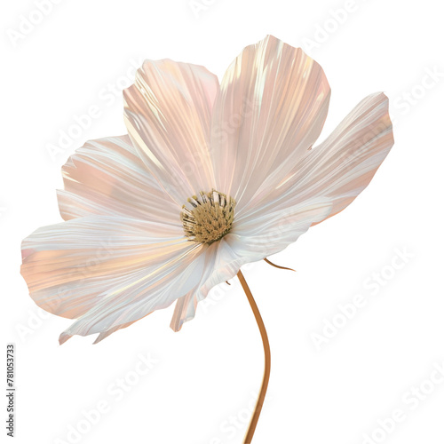 White flower on stem against Transparent Background