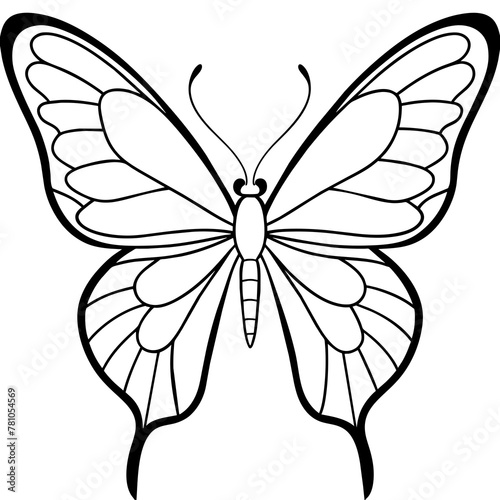 butterfly illustration