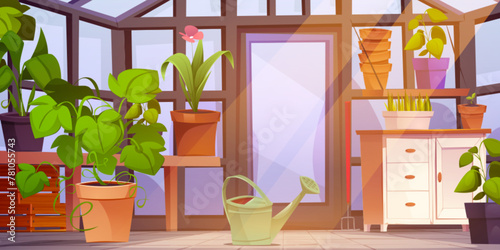 Greenhouse interior with furniture and plants. Vector cartoon illustration of flower blooming, monstera growing in clay bucket, green grass in flowerpot, metal waterer, room with glass walls and door