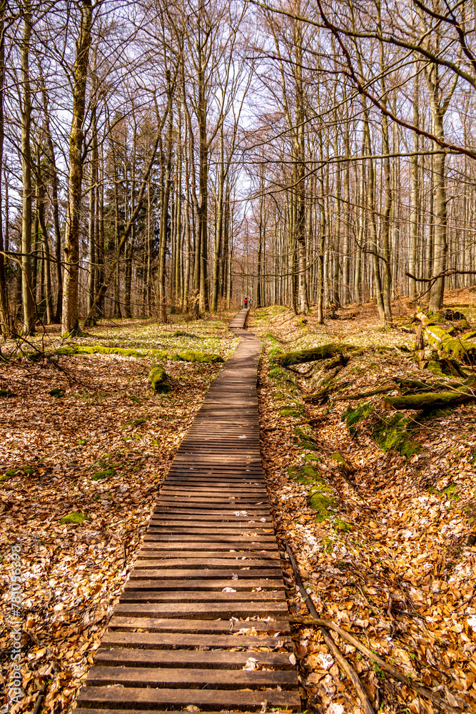 Obraz premium Eine frühlingshafte Wandertour über die Hirschmühle zum Carolafelsen in der Sächsische Schweiz - Schmilka - Sachsen - Deutschland