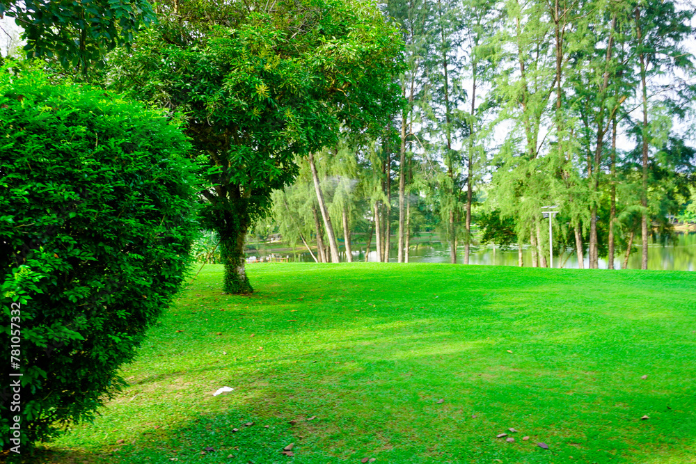 Obraz premium Thailand Phuket island lagoon area. nature and houses, beach and sea