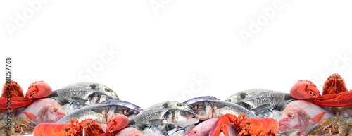 Fresh seafood frame isolated