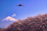 富士市・龍厳淵の満開の桜と富士山