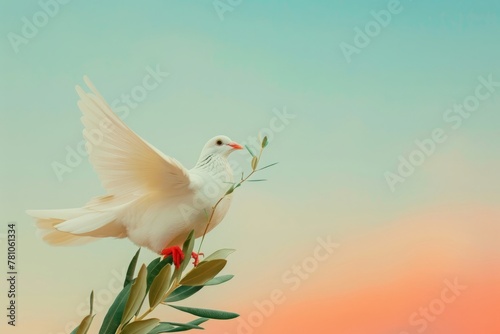 Photo of a white dove carrying a little olive leaf branch with its beak representing the World Peace Day celebration, international day of peace, gradient sky background #781061334