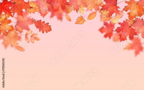Autumn falling leaves on pink background. Autumnal foliage fall and orange maple leaves flying in wind motion blur. Copy space