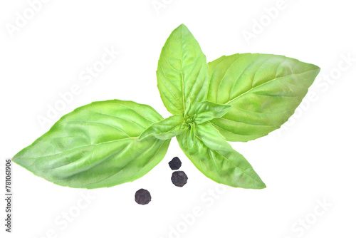 Fresh basil and pepper isolated on white
