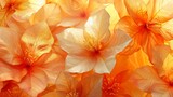   A zoomed-in image of several flowers featuring shades of orange and yellow, with the focal point being the central blossoms
