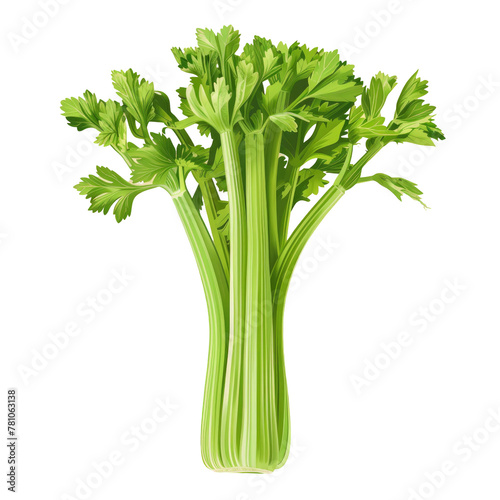 A close up of a stalk of celery with leaves on it