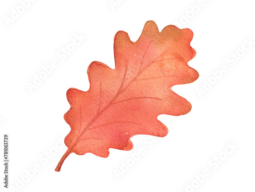 Watercolor autumn red oak leaf isolated. Hand drawn fall illustration