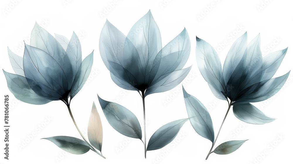 A close-up of a group of leaves on a white background in a black and white photo A close-up of a group of leaves on a white background in a black and white photo