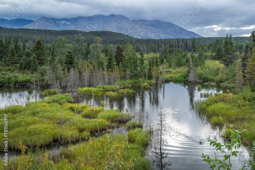 Haines Highway Yukon Alaska