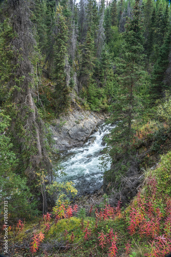 Haines Highway Yukon Alaska