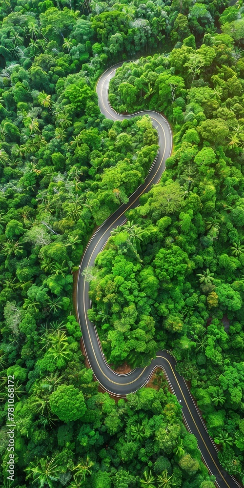 A Serpentine Road Meanders Through the Lush Expanse of a Dense Tropical Rainforest, Generative AI A Serpentine Road Meanders Through the Lush Expanse of a Dense Tropical Rainforest, Generative AI