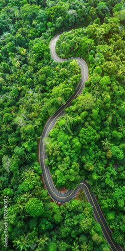 A Serpentine Road Meanders Through the Lush Expanse of a Dense Tropical Rainforest, Generative AI