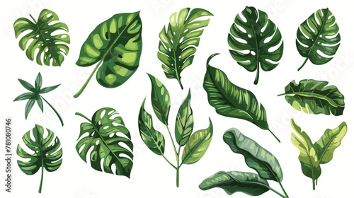 Set of tropical leaves. Drawing sketches of leaves