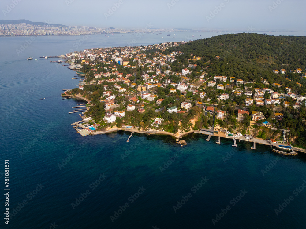 Aerial view of a prinsess island buyukada in Istanbul, Turkey