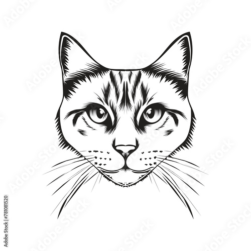black and white cat head vector design illustration