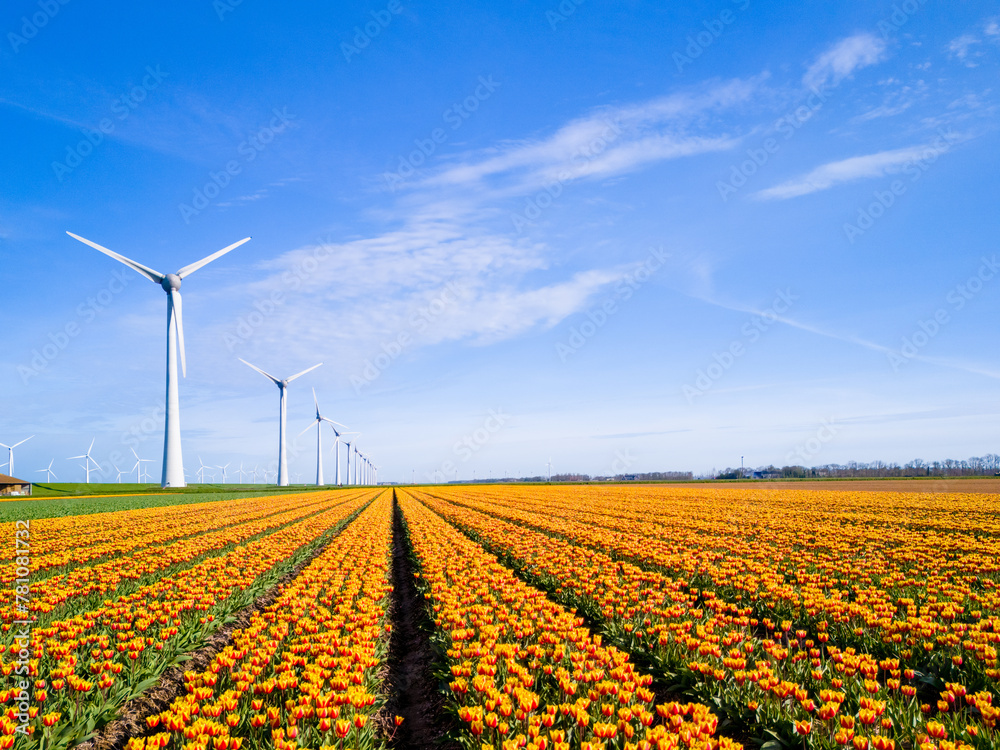 Vibrant tulips sway in a field stretching towards distant windmills, standing tall in the Netherlands Flevoland during the season of Spring. windmill turbines, green energy, eco friendly, earth day