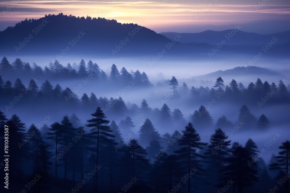 Obraz premium At twilight, the foggy pine forests are nature's lullaby, with the sun's serene serenade painting indigo and amethyst shades