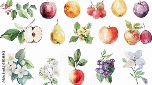 Watercolor clipart set of the fruits of the Spirit