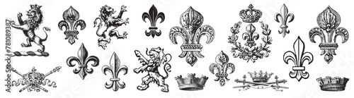Heraldic Lion. Medieval coat of arms. Lys De Fleur. Crest depicting a lion's flank supporters shield. Knights helmet design. Vintage retro style. Engraving Royalty Emblem. Heraldy King  Icon