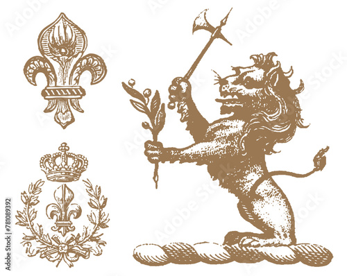 Heraldic Lion. Medieval coat of arms. Lys De Fleur. Crest depicting a lion's flank supporters shield. Knights helmet design. Vintage retro style. Engraving Royalty Emblem. Heraldy King  Icon
