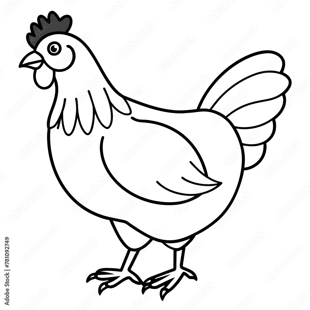 chicken vector illustration with line art. chicken vector illustration with line art.