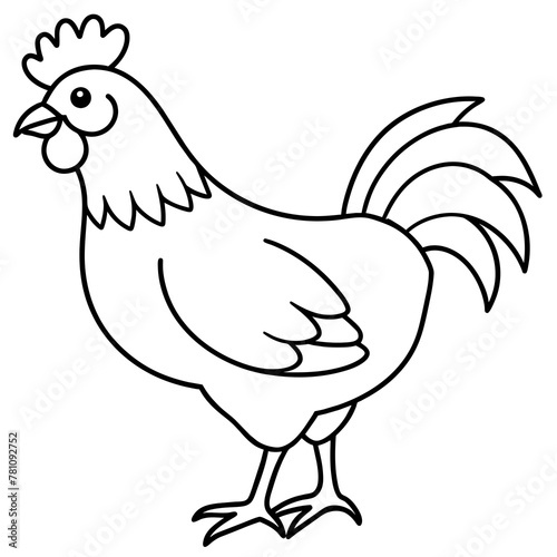    chicken vector illustration with line art.