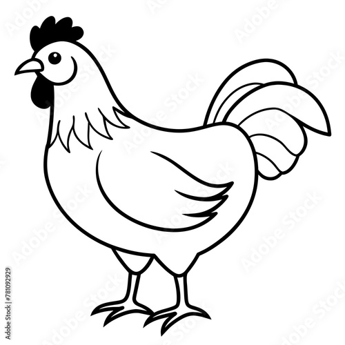    chicken vector illustration with line art.  © Abul Kalam