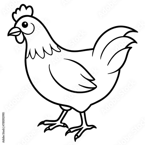    chicken vector illustration with line art.
