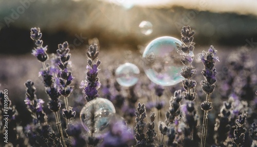 a bunch of soap bubbles sitting on top of a field of purple flowers and lavenders with the sun shining through the bubbles on the top of the top of the flowers