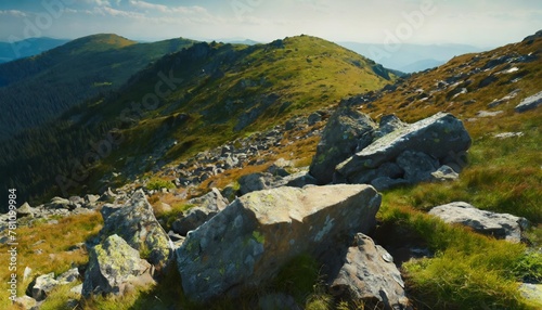 stones and boulders on the grassy alpine hillside mountainous carpathian landscape of ukraine in summer on an sunny day © Robert