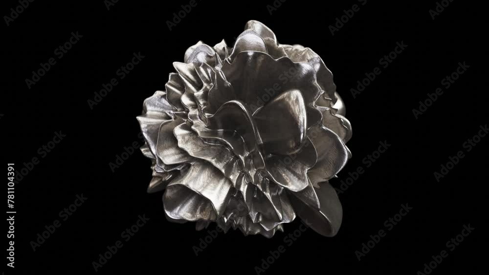 Realistic DOF abstract looping 3D animation of the morphing liquid textured aged silver metal flower-like form rendered in UHD with alpha matte