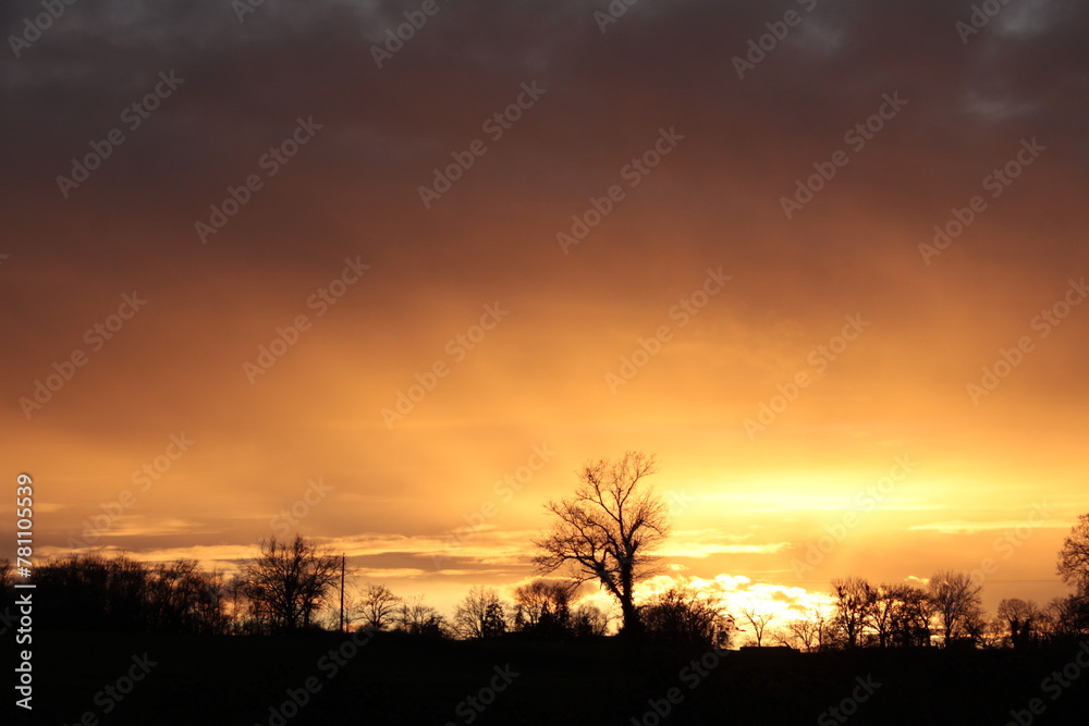 Coucher de soleil de printemps Coucher de soleil de printemps