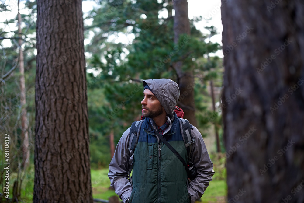 Man, hiking and forest for adventure with backpack, gear and fitness for sports, workout and health. Male person, hiker and trail for wellbeing, strength and endurance in nature for wellness Man, hiking and forest for adventure with backpack, gear and fitness for sports, workout and health. Male person, hiker and trail for wellbeing, strength and endurance in nature for wellness