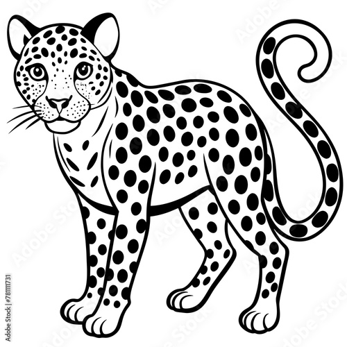 ration of a leopardillust